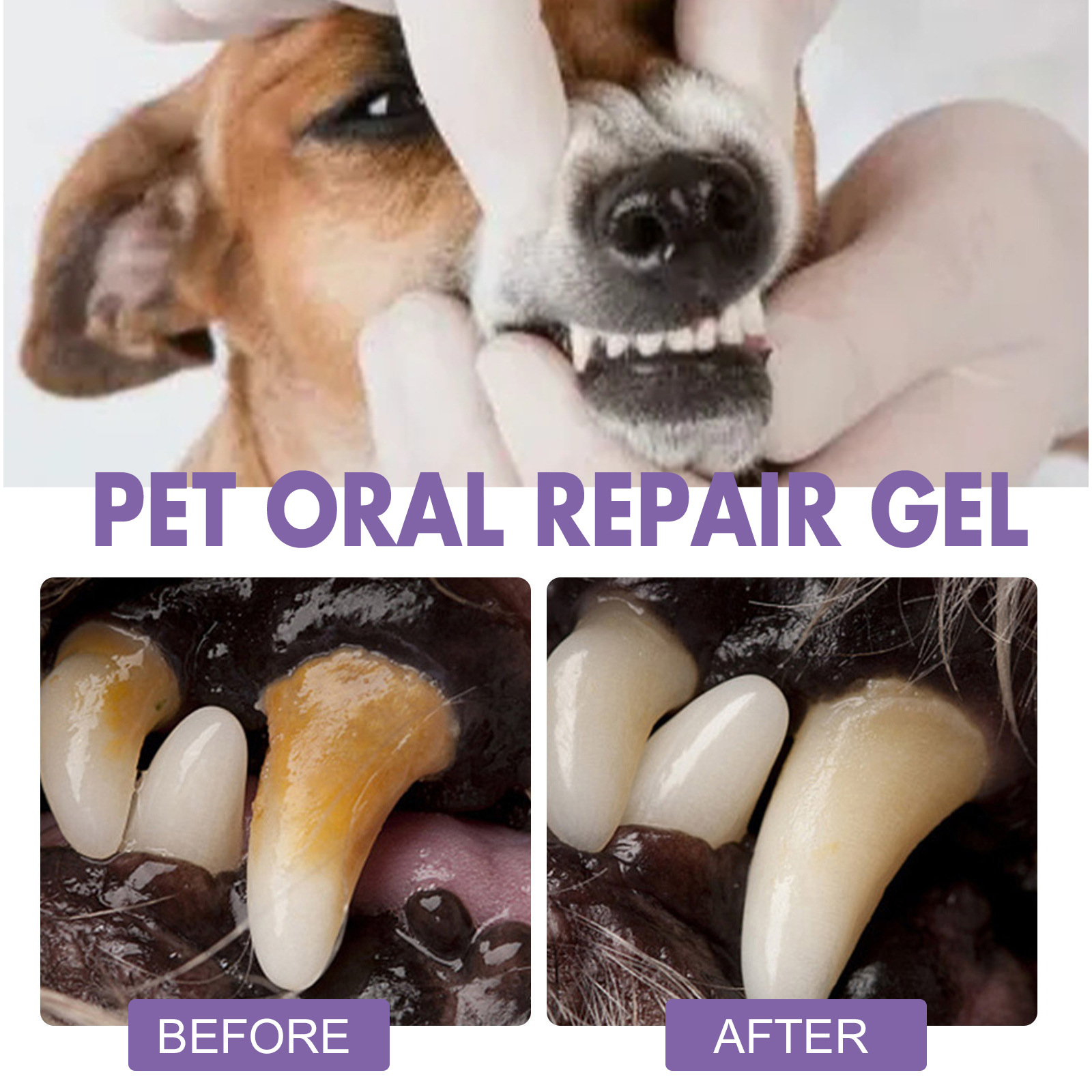 Гель для восстановления полост – обзор и цена Teeth Whitening Q&M